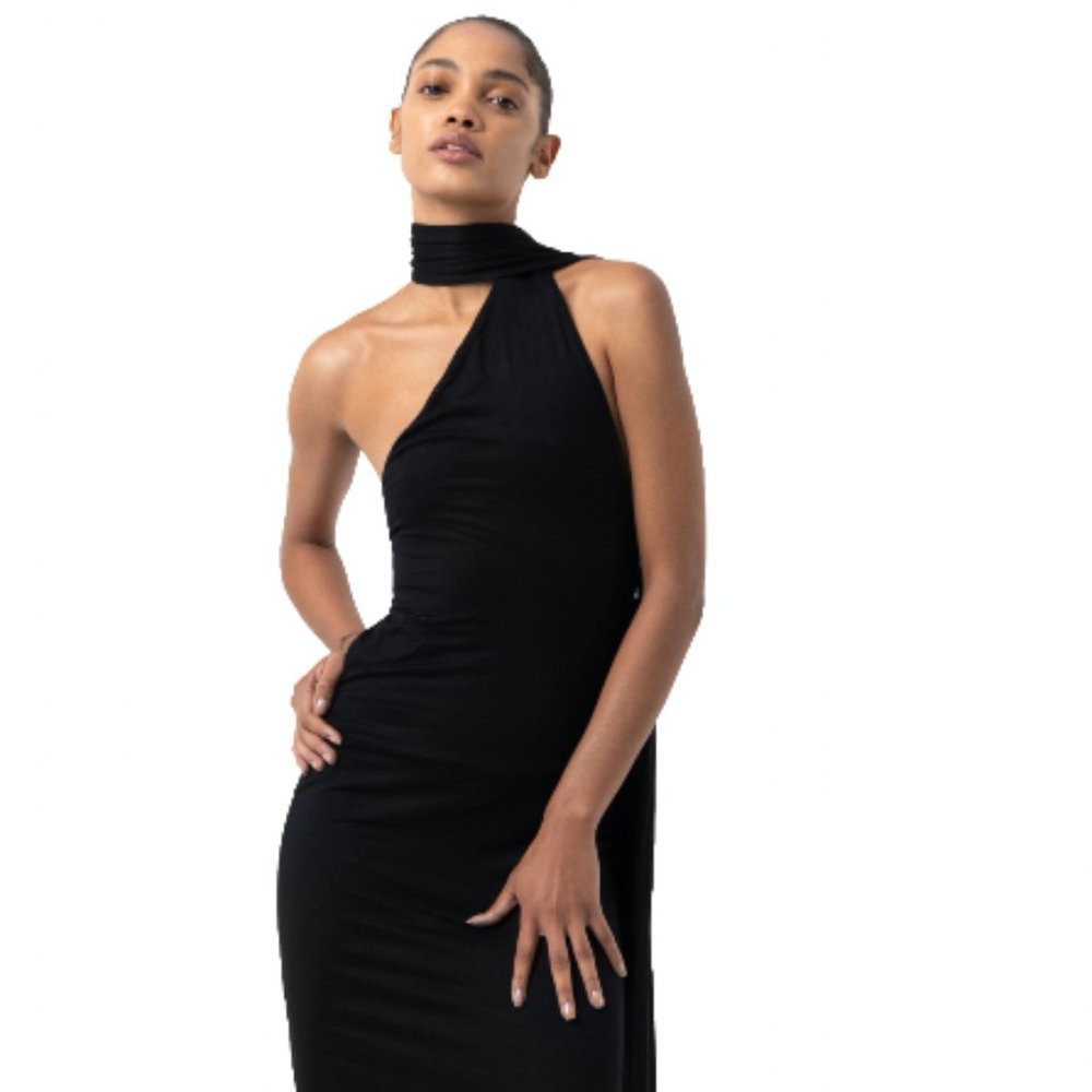 Kara Maxi Scarf Dress - NWT